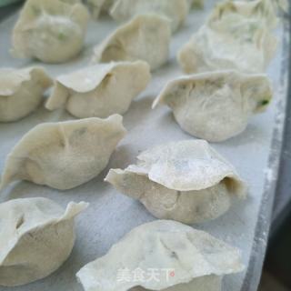 野生虾仁水饺的做法步骤：13