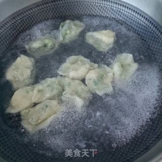野生虾仁水饺的做法步骤：14