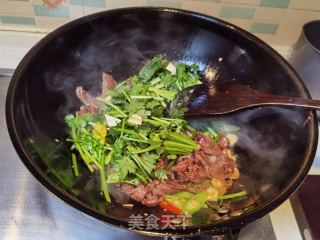 牛肉炒香菜的做法步骤：13