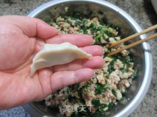 韭菜肉末豆腐馅饺子的做法步骤：13