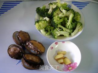 鲍鱼炒西兰花的做法步骤：1
