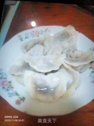 牛肉白菜饺子的做法步骤：15
