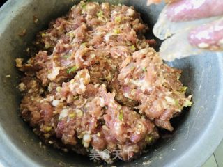 羊肉萝卜饺子的做法步骤：2