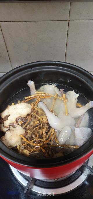 春砂仁根鸽子汤的做法步骤：4