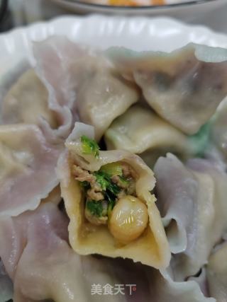 彩色三鲜饺子的做法步骤：16