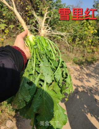 雪里红炒豆腐的做法步骤：1
