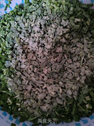 韭菜鸡蛋虾仁水饺的做法步骤：6