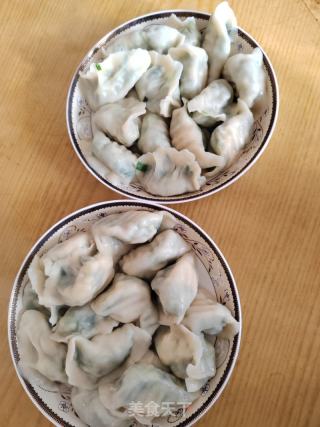 韭菜鸡蛋虾仁水饺的做法步骤：11
