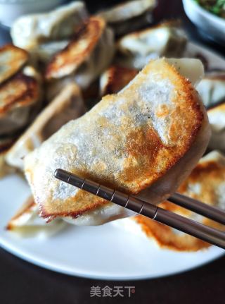紫菜海米煎饺的做法步骤：12