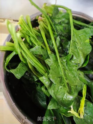 菠菜粉条炖龙骨的做法步骤：2