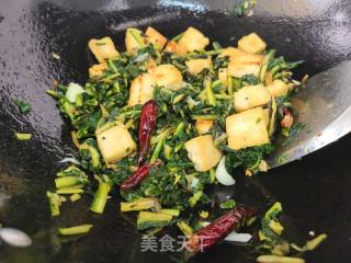 地黄叶炒豆腐的做法步骤：6