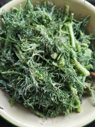 玉米面儿蒸小茴香的做法步骤：3