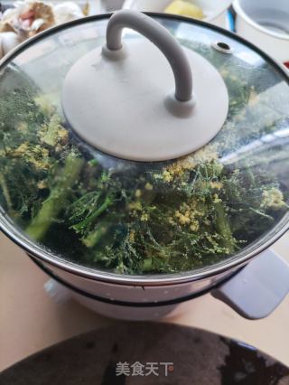 玉米面儿蒸小茴香的做法步骤：8