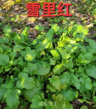 雪里红炒红萝卜丝的做法步骤：1