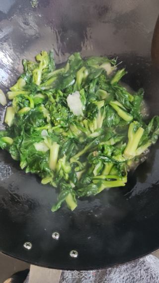清炒菜苔的做法步骤：4