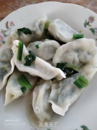 韭莱虾仁水饺的做法步骤：11