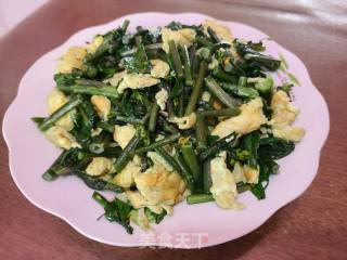 红菜苔炒鸡蛋的做法步骤：7