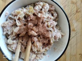 蒲公英大肉饺子的做法步骤：5