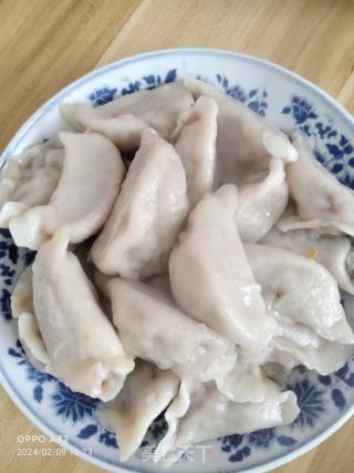 蒲公英大肉饺子的做法步骤：10