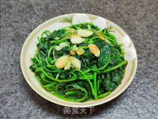 烧椒酱炒番薯叶的做法步骤：8