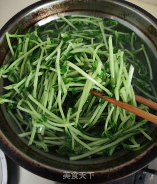 上汤豆苗的做法步骤：6