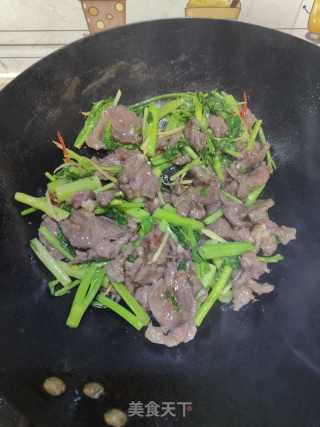 小炒牛肉的做法步骤：12