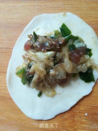 牛肉韭菜白菜饺子的做法步骤：7