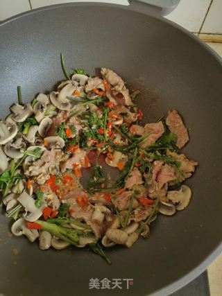 蘑菇炒牛肉的做法步骤：9