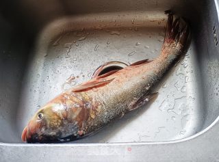 红汤老豆腐炖鲢鱼头的做法步骤：1