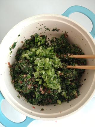 刺儿菜肉包的做法步骤：4