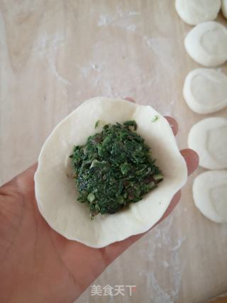刺儿菜肉包的做法步骤：8