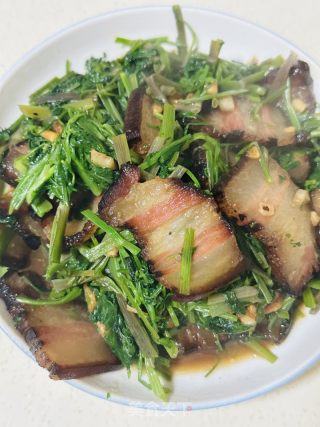 野芹菜炒腊肉的做法