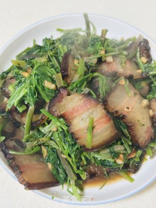 野芹菜炒腊肉的做法步骤：5