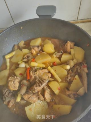 土豆烧鸡的做法步骤：15