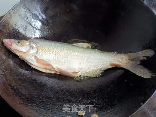红烧沟鲜的做法步骤：2
