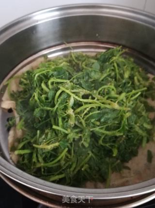 蒸苜蓿的做法步骤：6