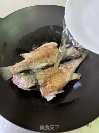 花甲焖鲈鱼的做法步骤：9