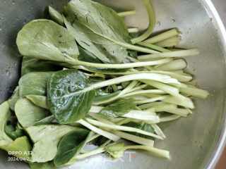 凉拌油白菜的做法步骤：2