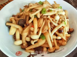 海参炒杂菇的做法步骤：8