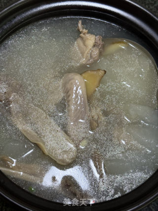 冬瓜老鸭汤的做法步骤：8