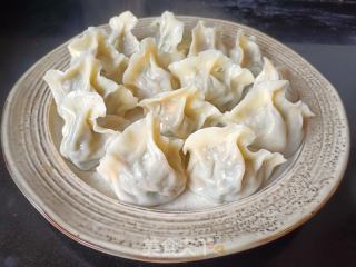 茴香水饺的做法