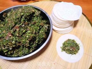 茴香水饺的做法步骤：7