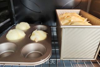 柔软蜂蜜吐司面包的做法步骤：15