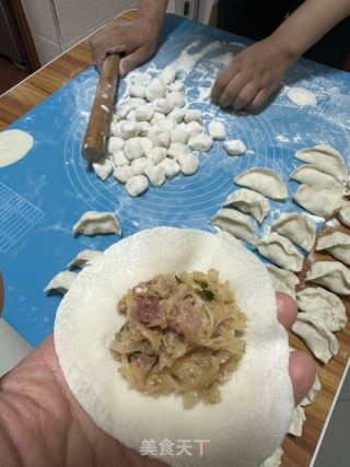 东北酸菜饺子的做法步骤：7
