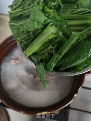 咸鸡骨春菜汤的做法步骤：5