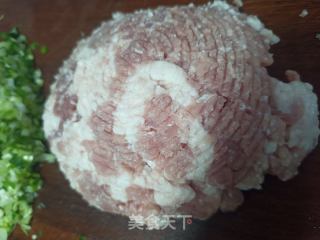 白萝卜饺子的做法步骤：6