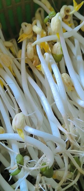 黄瓜拌绿豆芽的做法步骤：1