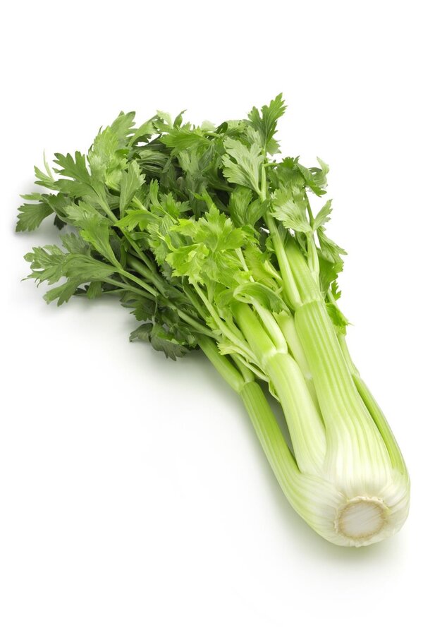 芹菜的营养价值及功效