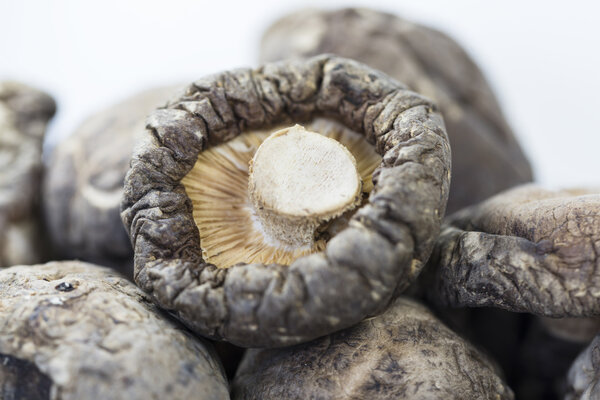 草菇的营养价值与功效都有哪些