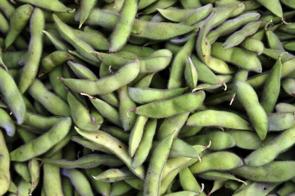 蚕豆有什么营养和功效